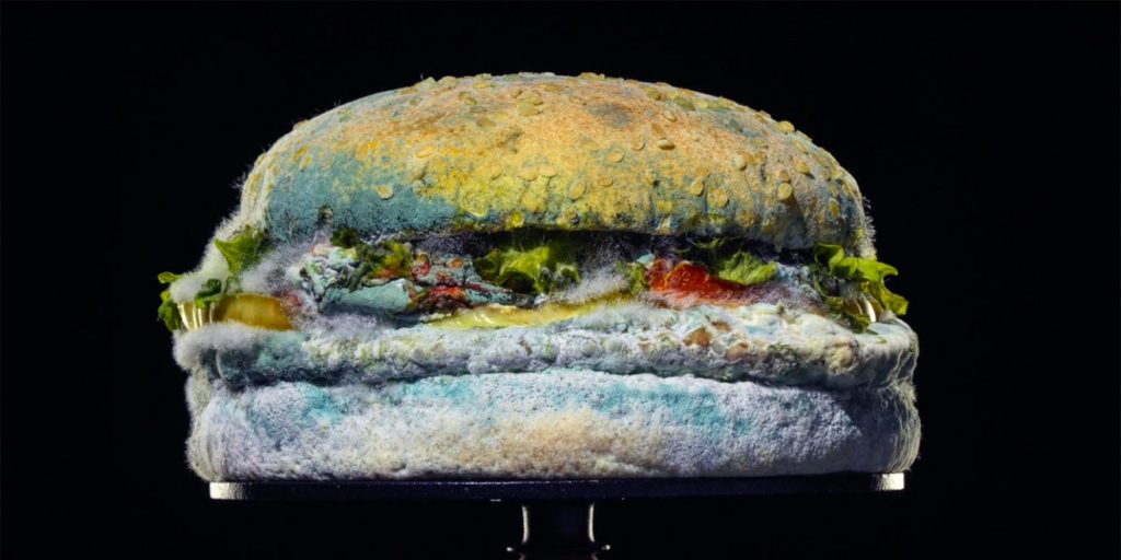 Hình ảnh Chiếc Bánh Burgerking Whopper Bị Mốc Sau 34 Ngày