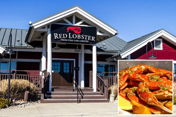 Học Được Gì Sau Khi Red Lobster - Chuỗi Nhà Hàng Hải Sản Lớn Nhất Thế Giới Phá Sản 3 Học Được Gì Sau Khi Red Lobster - Chuỗi Nhà Hàng Hải Sản Lớn Nhất Thế Giới Phá Sản FnB Việt Nam