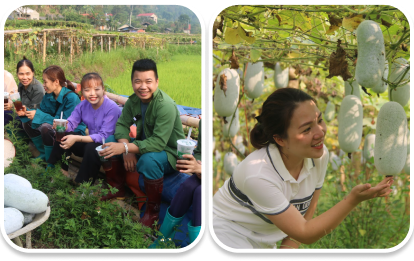 Trà Cát Tiên: Từ nông sản quê mình đến vị trà xu hướng - Hành trình đi tìm giá trị tinh túy của Trà Việt FnB Việt Nam