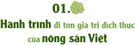 Trà Cát Tiên: Từ nông sản quê mình đến vị trà xu hướng - Hành trình đi tìm giá trị tinh túy của Trà Việt FnB Việt Nam