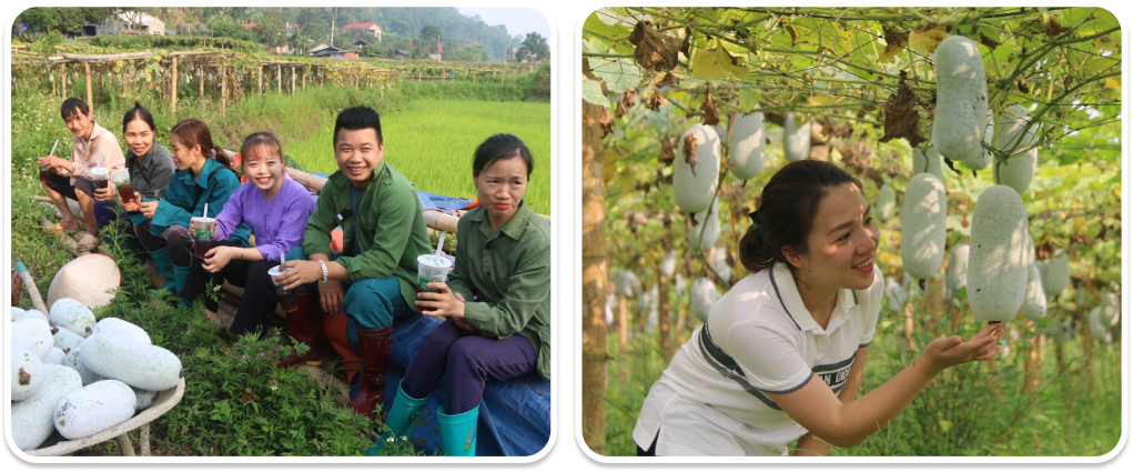 Trà Cát Tiên: Từ nông sản quê mình đến vị trà xu hướng - Hành trình đi tìm giá trị tinh túy của Trà Việt FnB Việt Nam