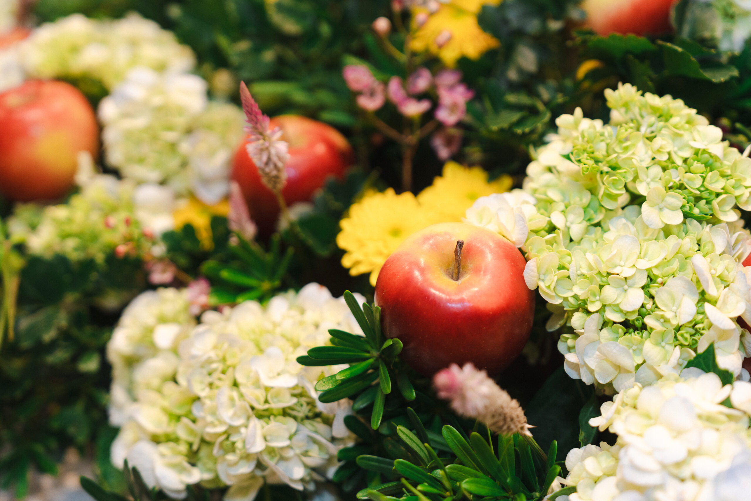 INTERFEL ĐEM “MÙA TÁO PHÁP” TRỞ LẠI VIỆT NAM: NGƯỜI TIÊU DÙNG & THỊ TRƯỜNG F&B NỘI ĐỊA ĐƯỢC LỢI GÌ? 3 INTERFEL ĐEM “MÙA TÁO PHÁP” TRỞ LẠI VIỆT NAM: NGƯỜI TIÊU DÙNG & THỊ TRƯỜNG F&B NỘI ĐỊA ĐƯỢC LỢI GÌ? FnB Việt Nam