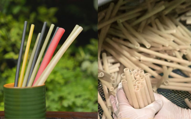 ong-hut-gao-viet-straw