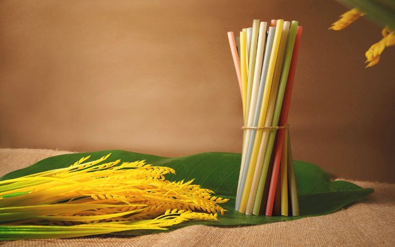 ong-hut-gao-viet-straw