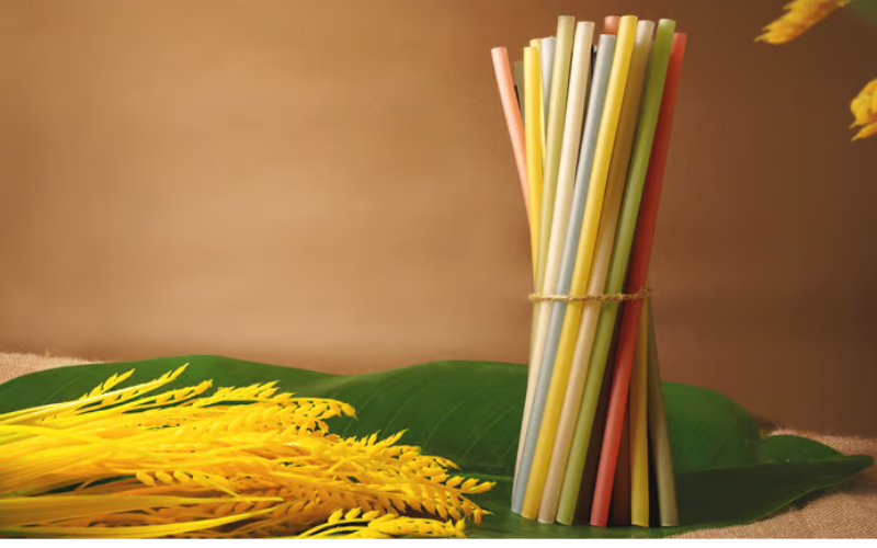 Checklist 20 vật dụng cần thiết cho quán trà sữa FnB Việt Nam