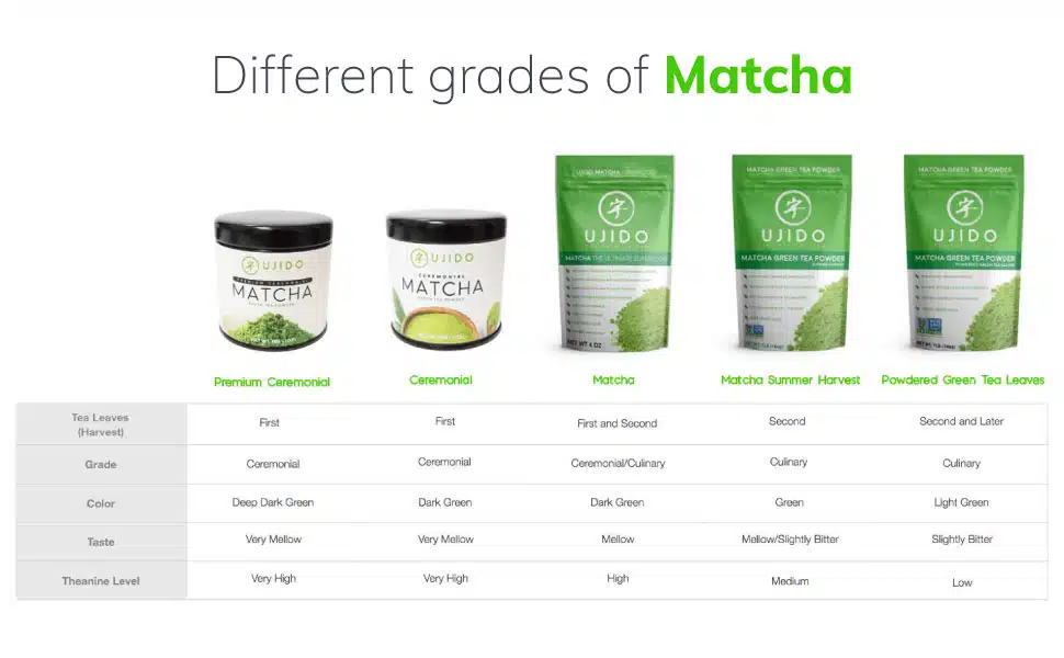 Top 5 loại bột matcha Nhật Bản phổ biến cho các chủ quán tại Việt Nam FnB Việt Nam