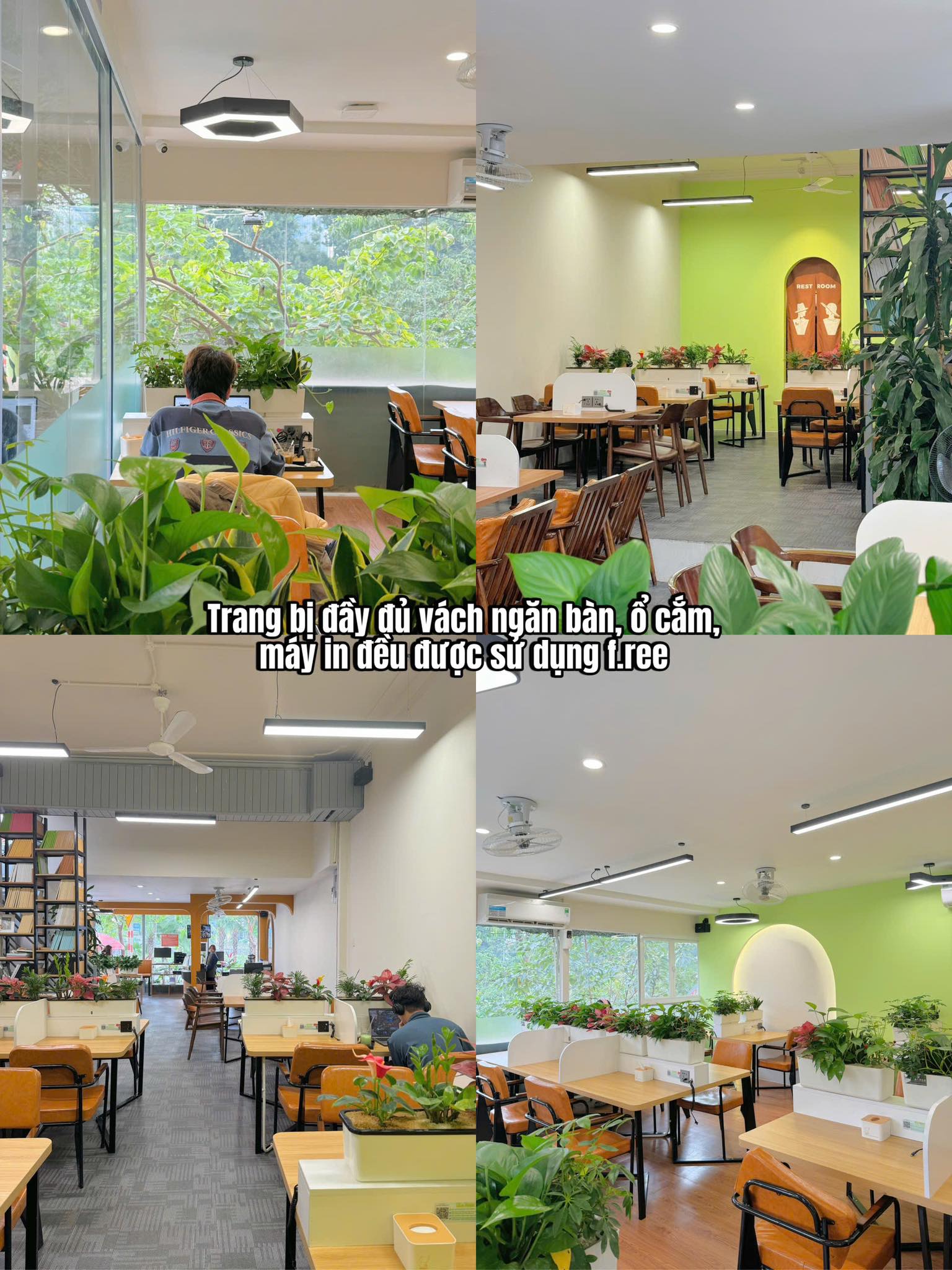 Cách phân chia khu vực học tập – làm việc tại quán cà phê giúp tối ưu doanh thu và thu hút khách freelancer  và sinh viên