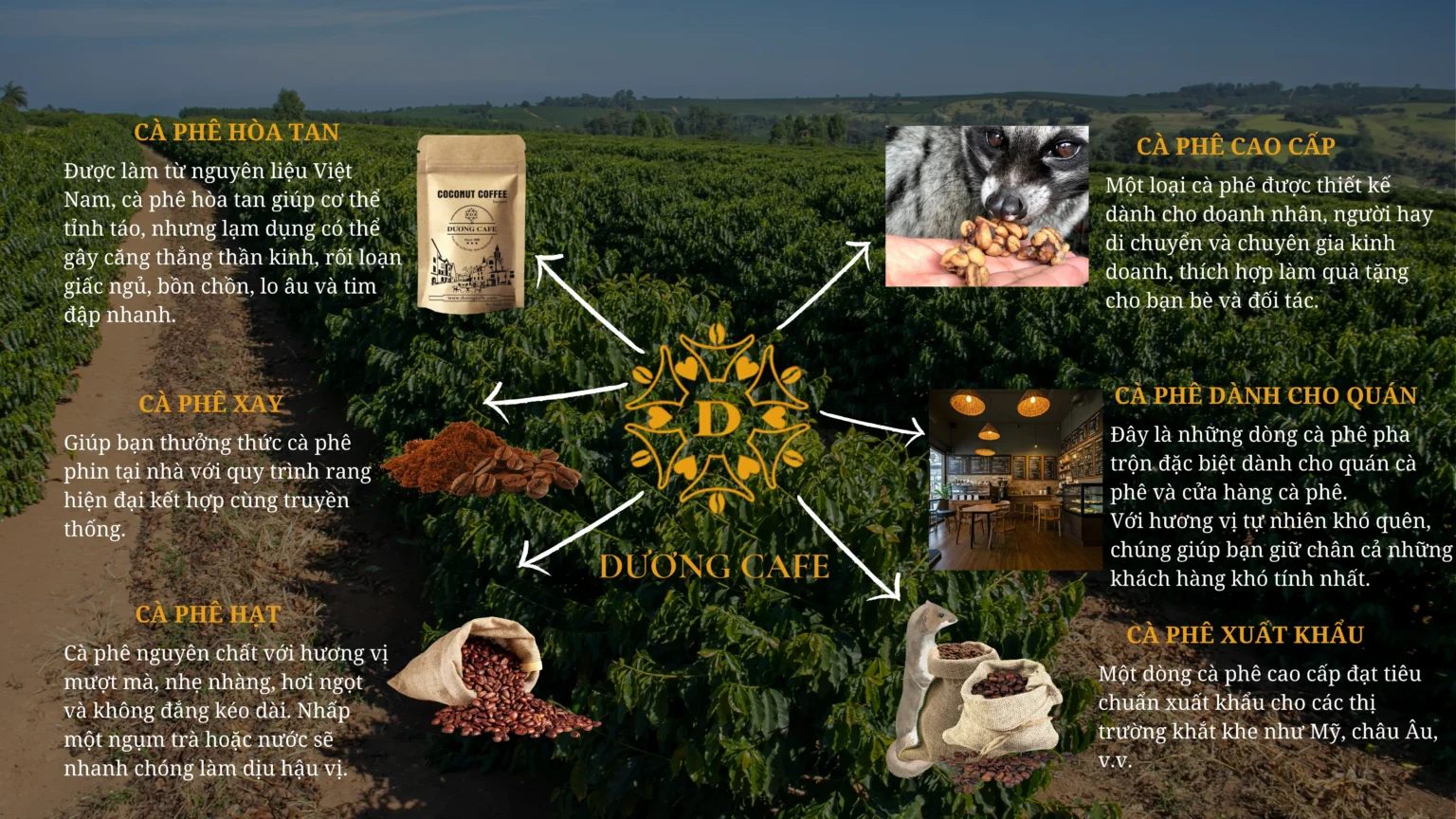 Hạt cà phê chất lượng đến từ thương hiệu Là Việt Coffee