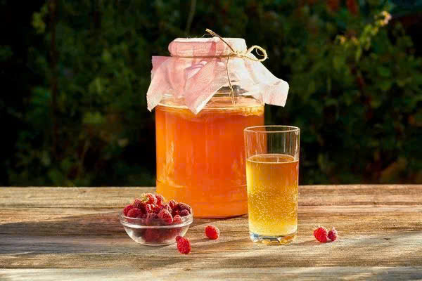 Xu hướng menu “chạy top” mùa hè: Đồ uống hot trend nào đang được các thương hiệu lớn tung ra? 3 Kombucha là loại đồ uống lên men giàu lợi khuẩn